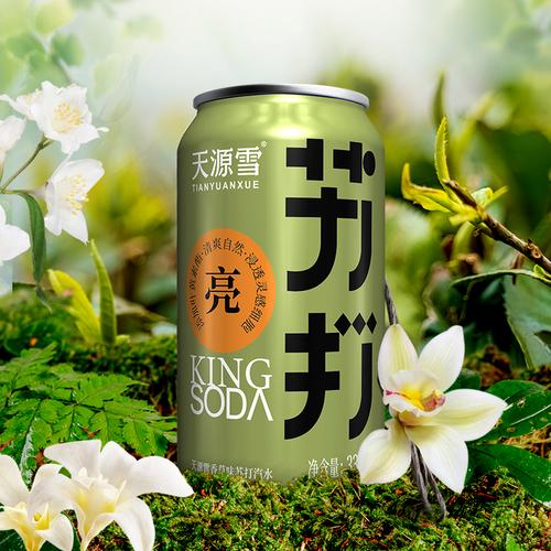 技术服务与食品销售经营指南